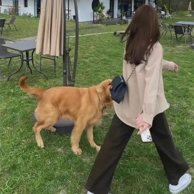 心动的瞬间